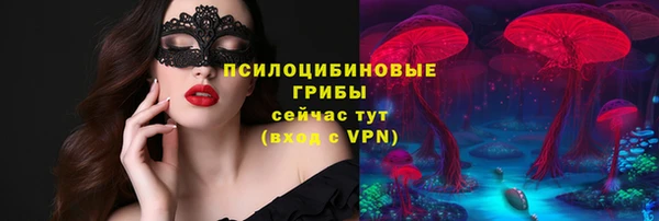 дурь Алексин