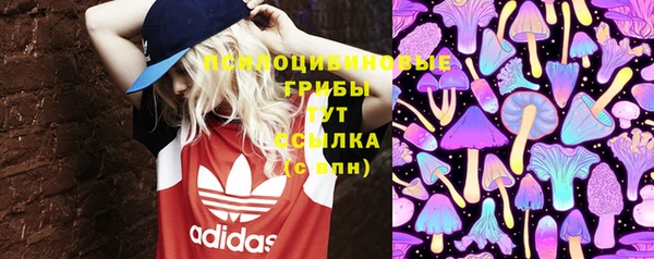 винт Алексеевка