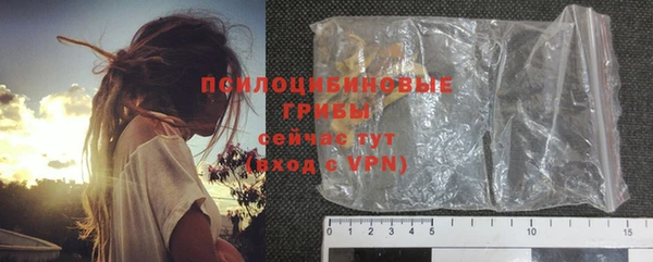дурь Алексин