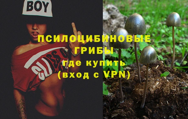 прущие крисы Алзамай