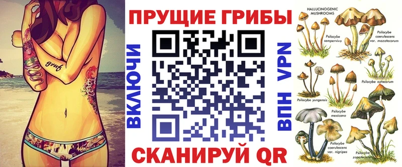 ОМГ ОМГ ONION  наркота  Моздок  Галлюциногенные грибы мицелий 