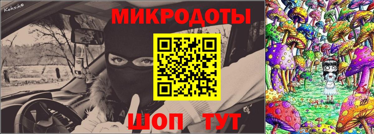 Галлюциногенные грибы Psilocybe Моздок