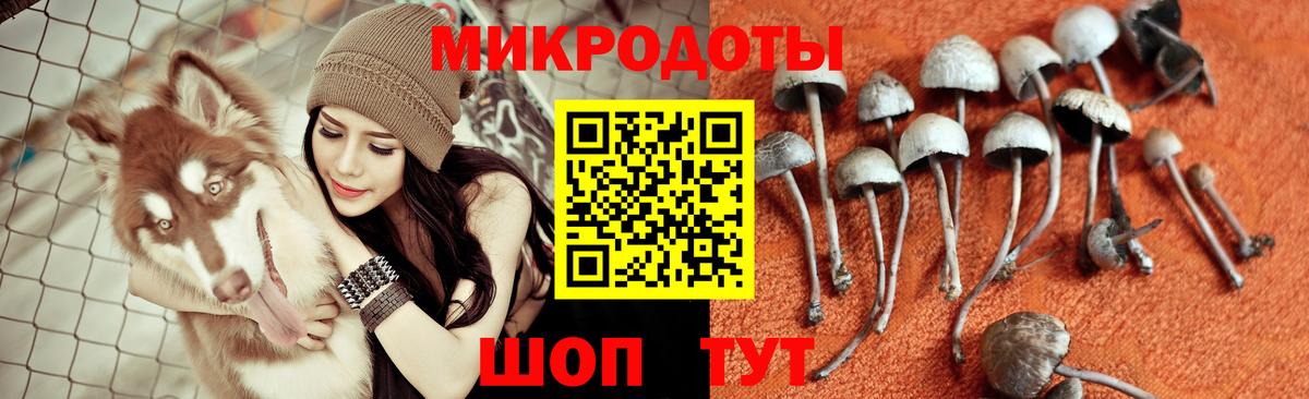 Галлюциногенные грибы мухоморы  Вход с VPN  Моздок 